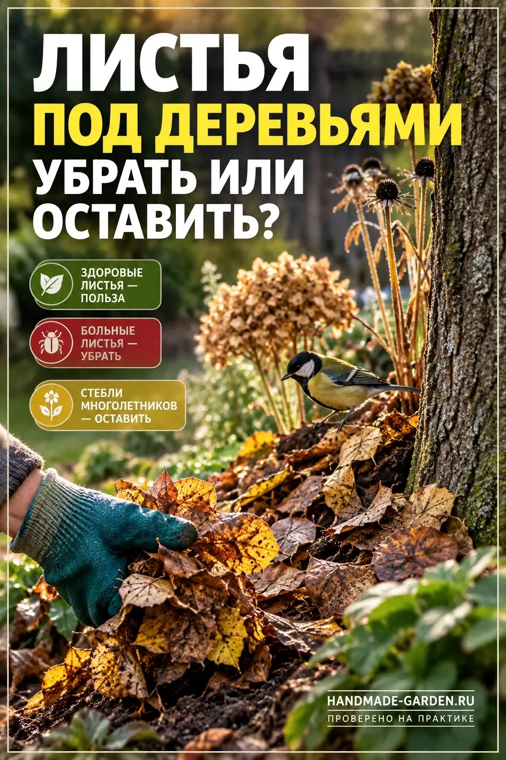 Листья под деревьями убрать или оставить