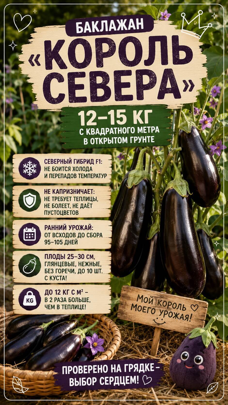 Баклажан &laquo;Король Севера&raquo;