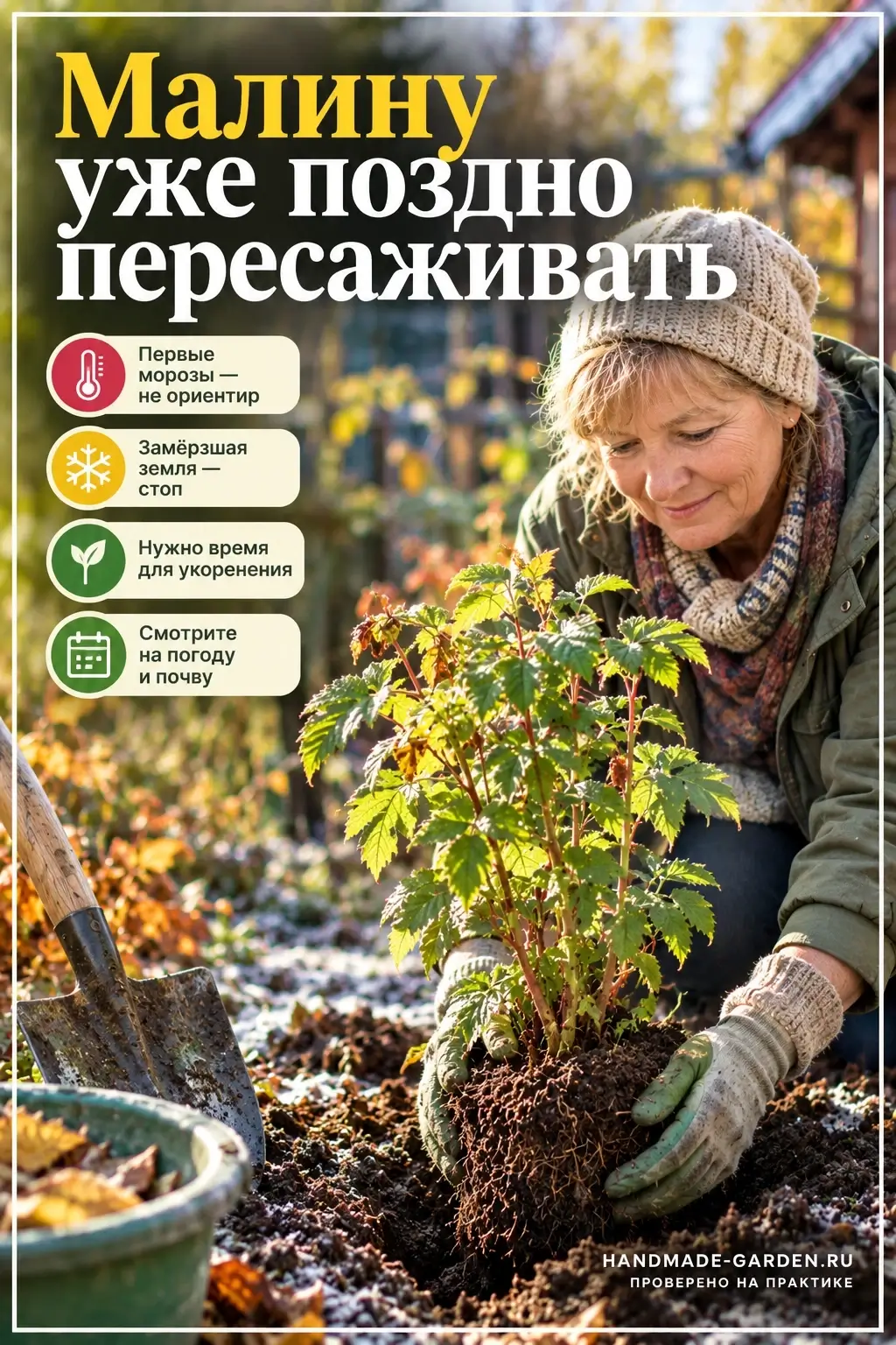 посадка малины осенью
