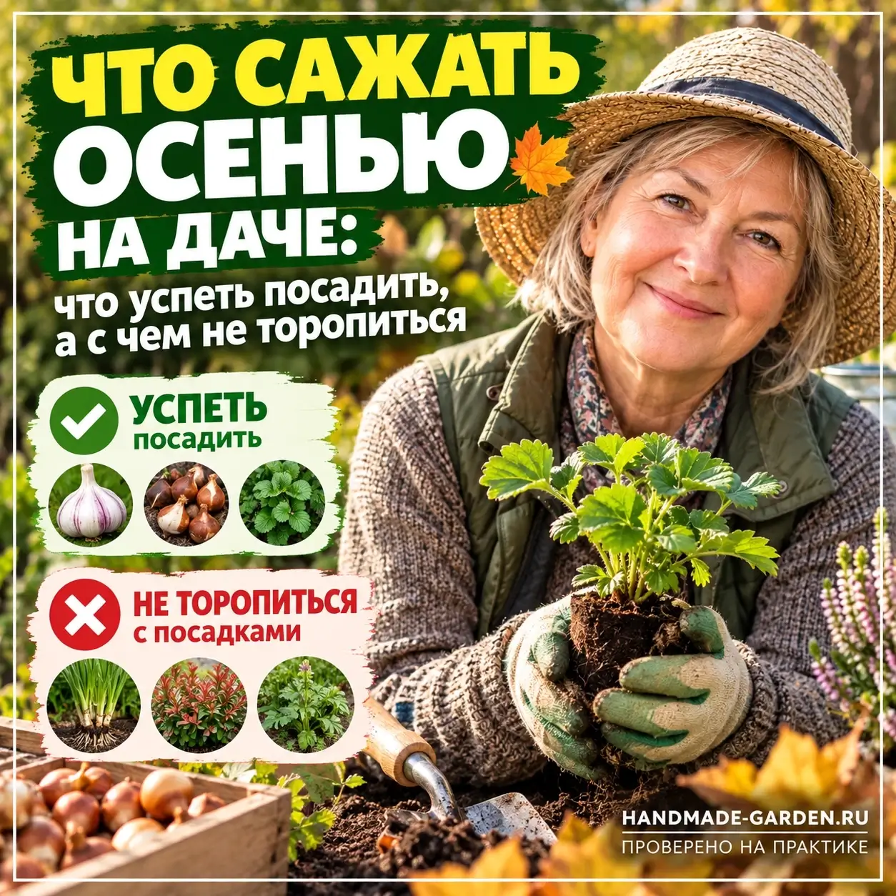 Что сажать осенью на даче