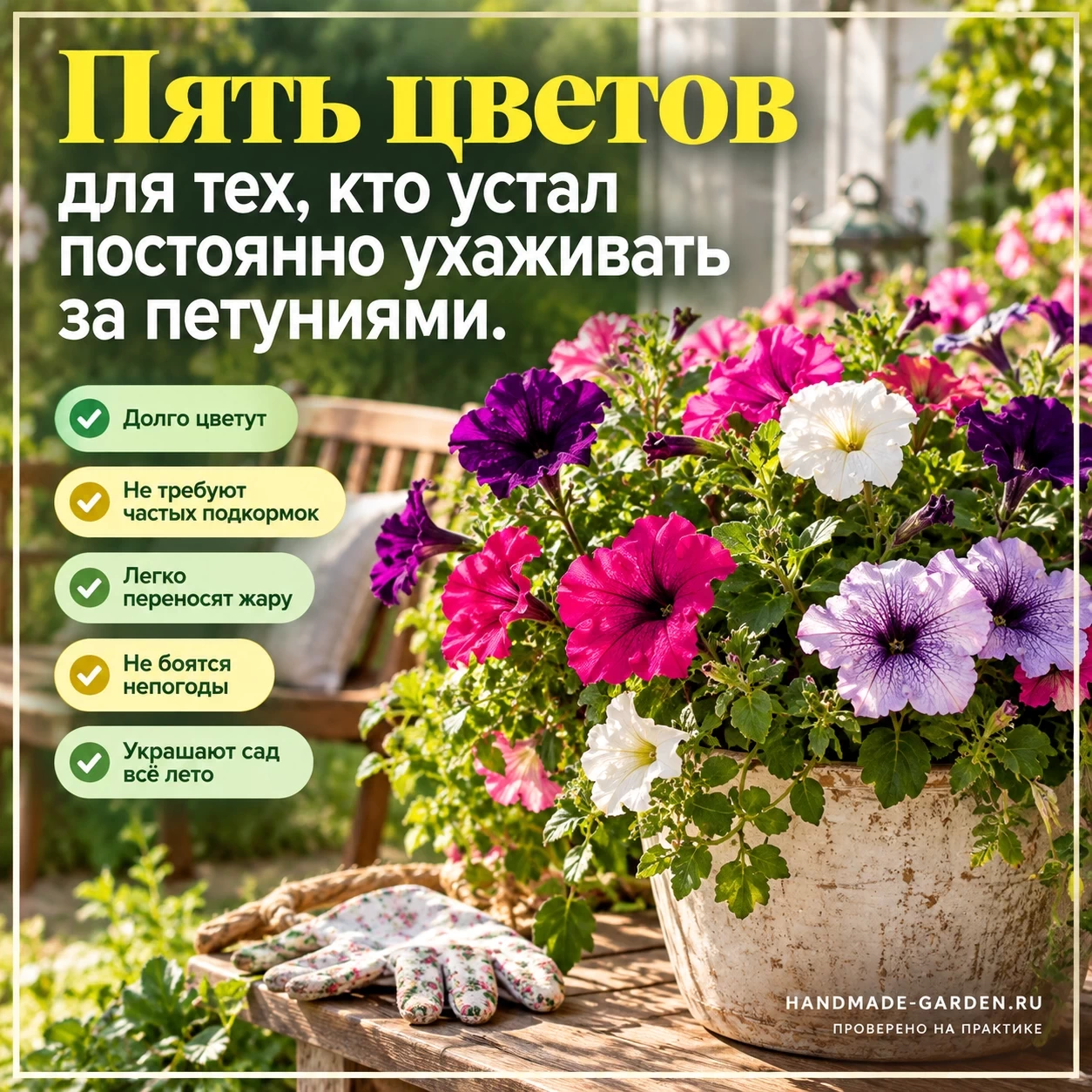 Чем заменить петунию: 5 цветов, которые проще выращивать
