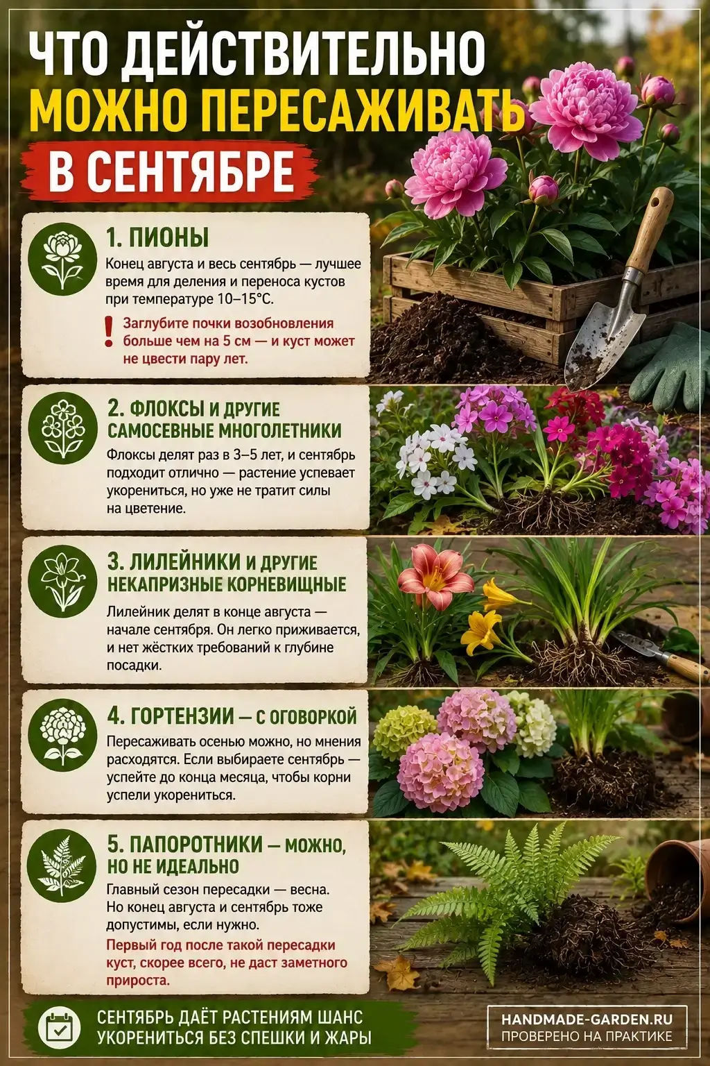 У каждого растения свой запас времени на укоренение до морозов