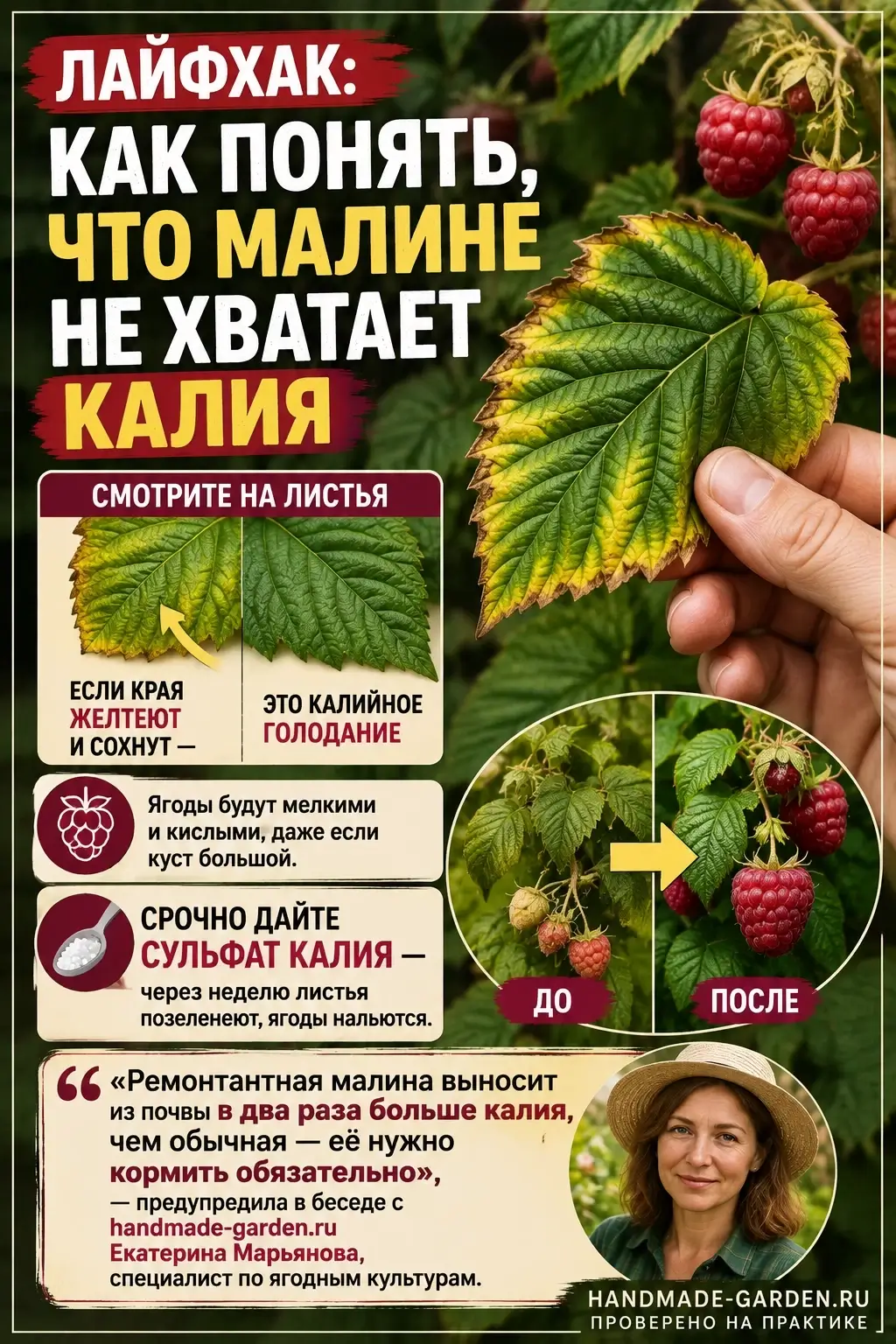 как понять, что малине не хватает калия