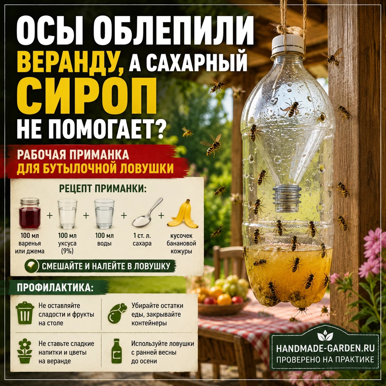 Осы атакуют веранду: ловушка из пластиковой бутылки с правильной приманкой, которая очистит двор