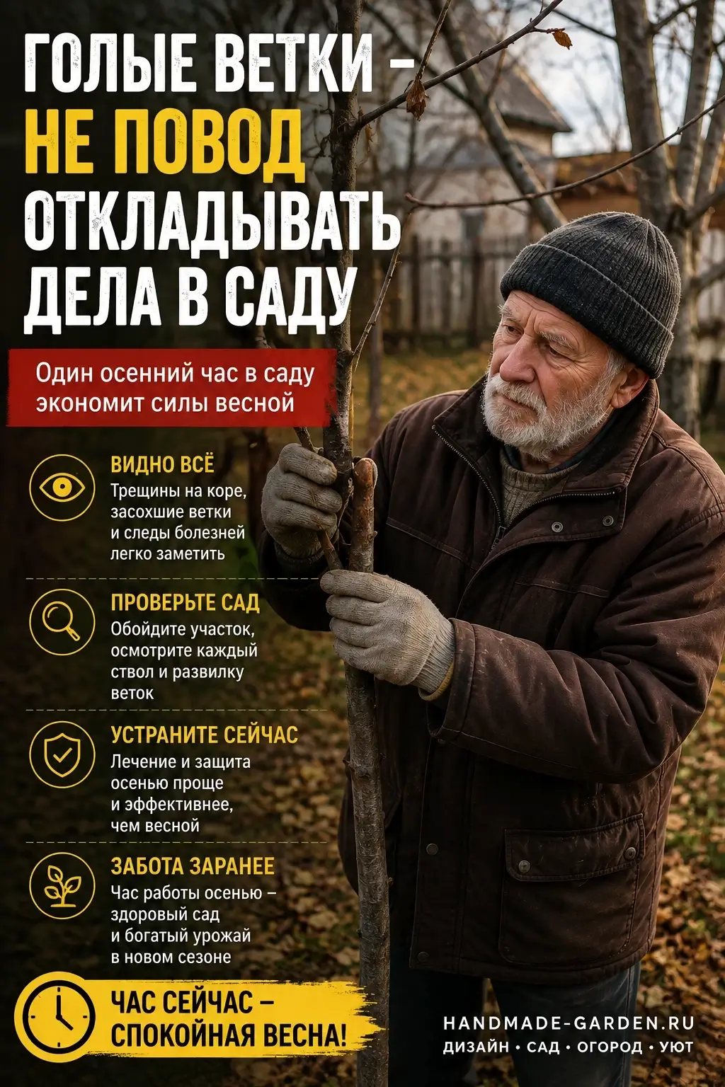 Трещины на коре, следы грызунов, засохшие ветки &mdash; всё это гораздо проще заметить на голом дереве