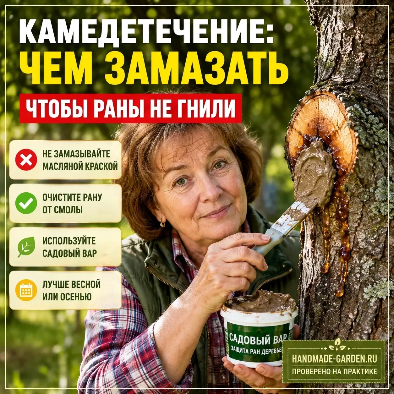 чем и как замазать срезы, чтобы туда не попала инфекция