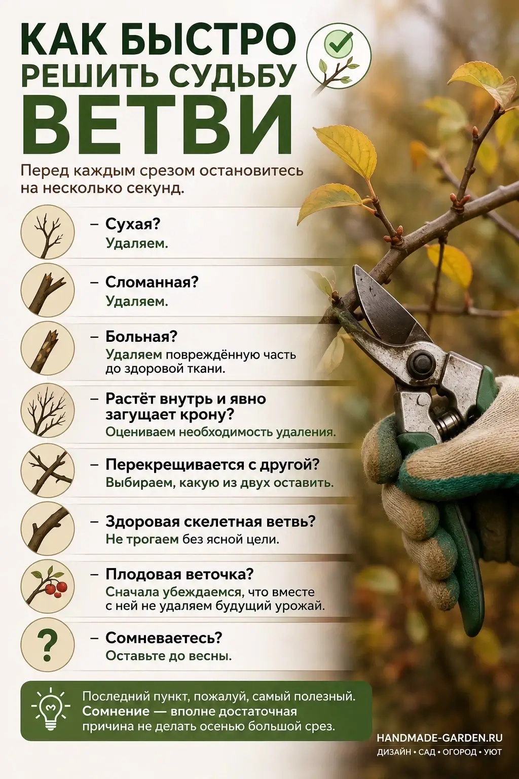 Как быстро решить судьбу ветви