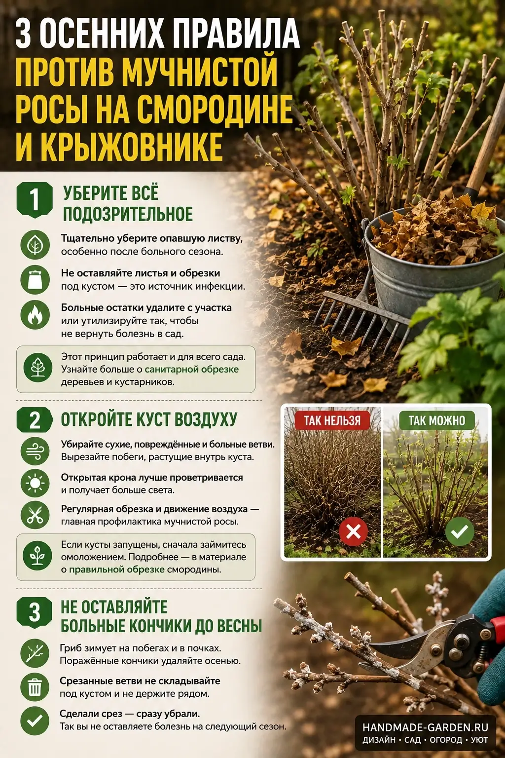 Мучнистая роса на крыжовнике
