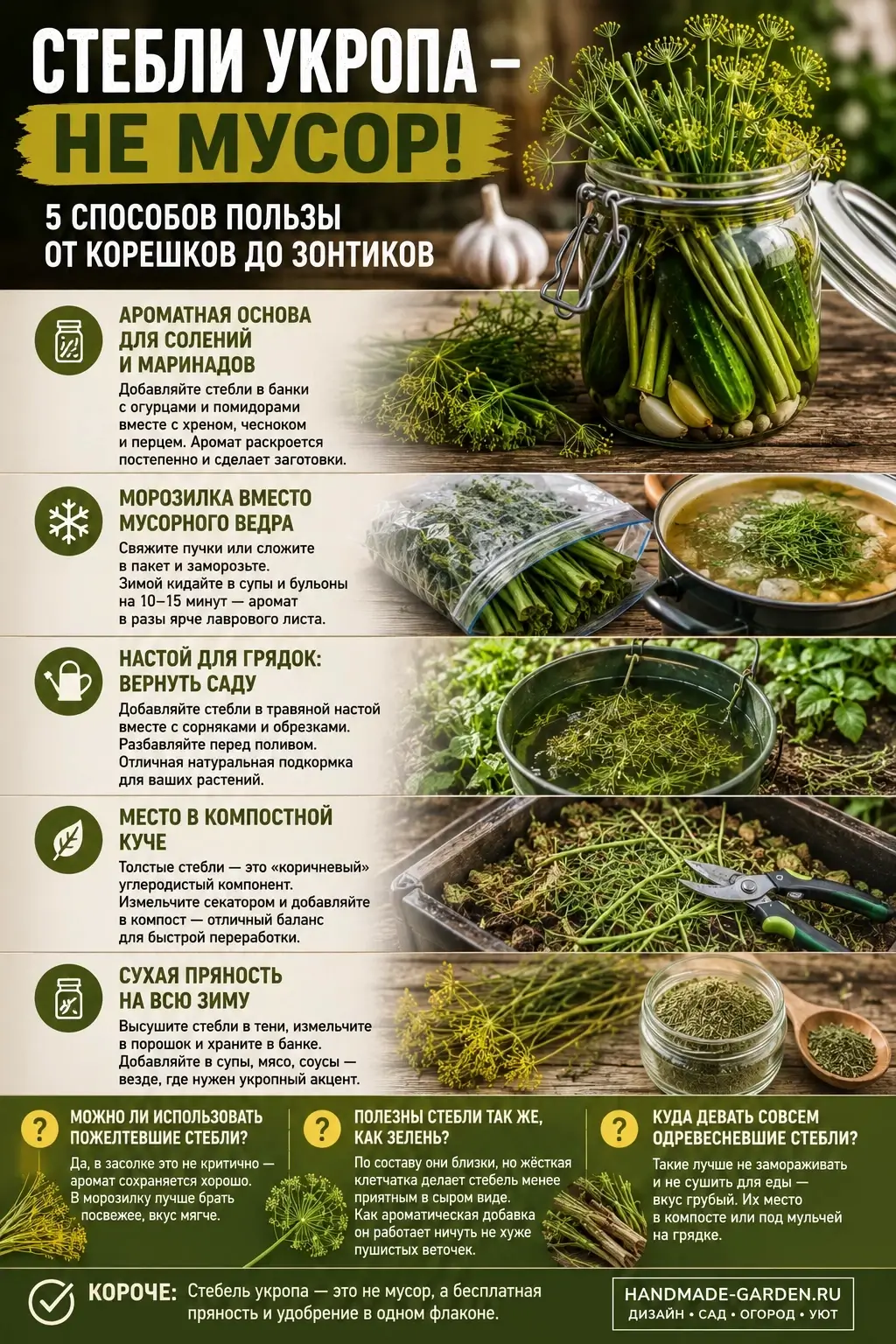 Укропные стебли