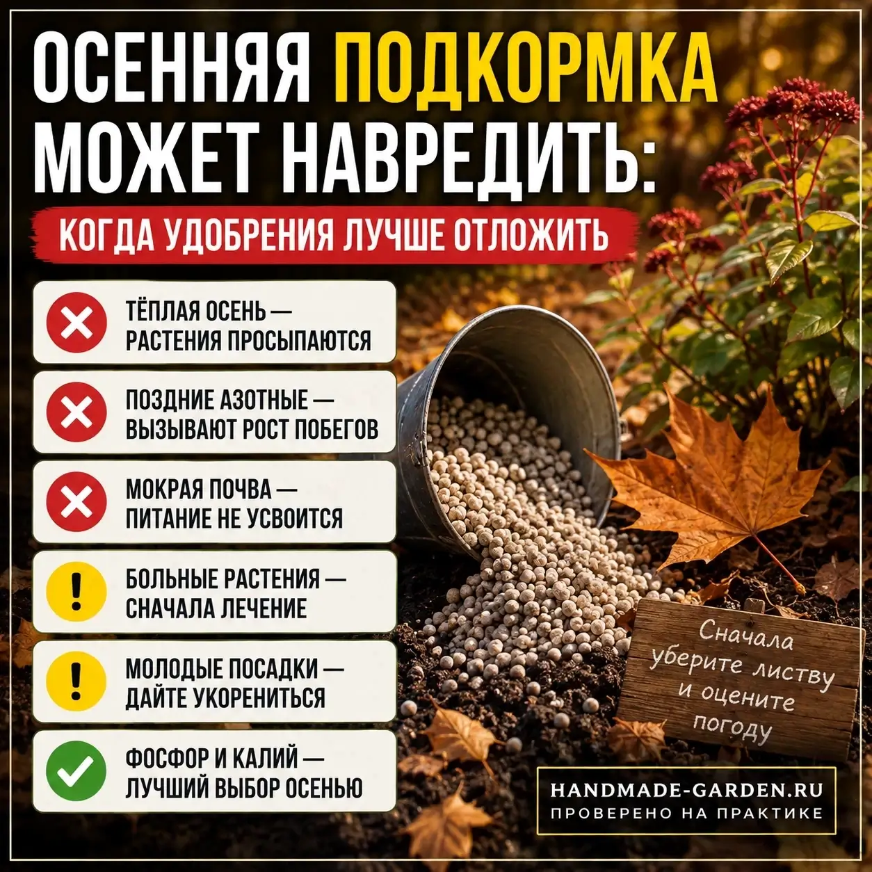 Осенняя подкормка может навредить: когда удобрения лучше отложить