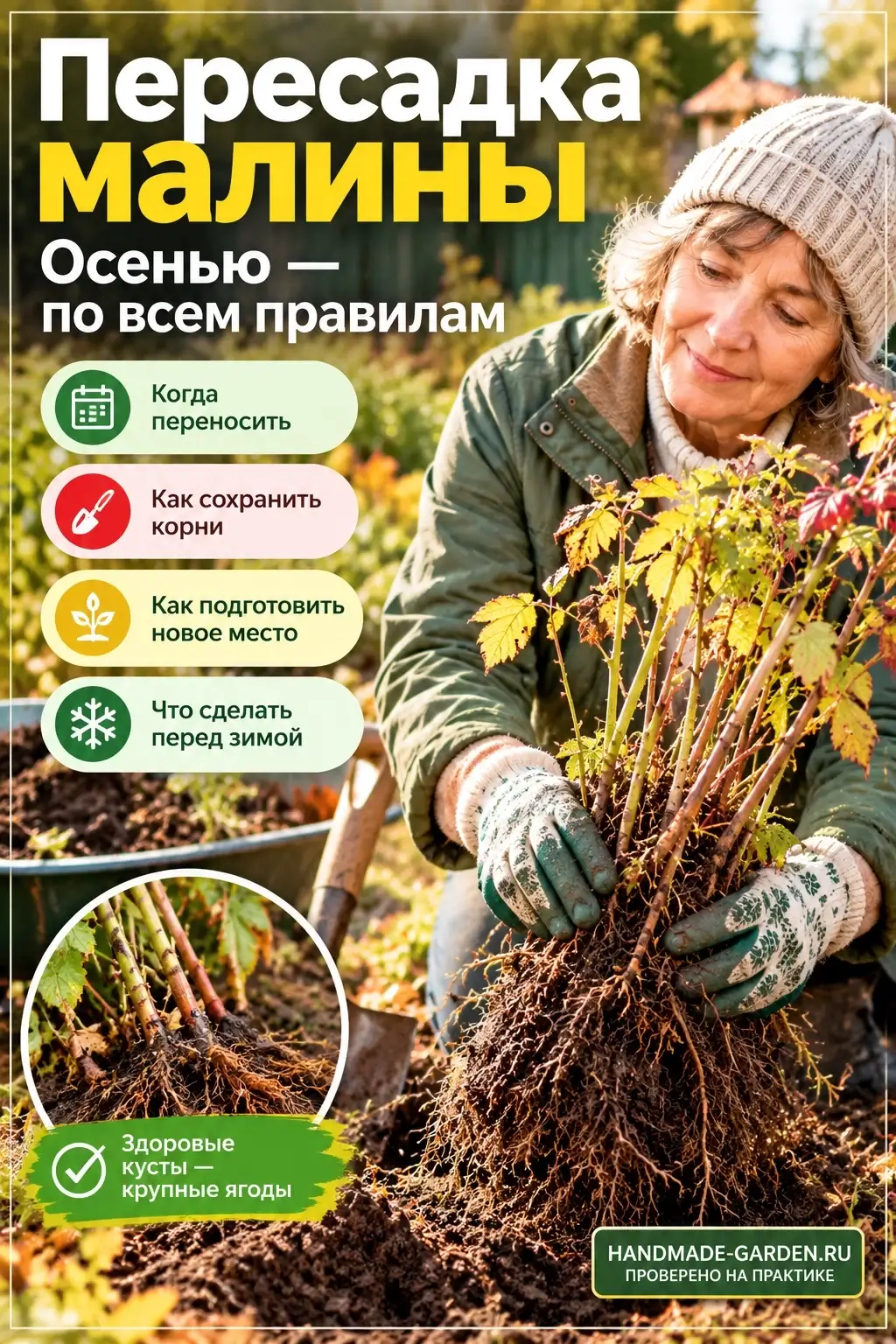 Малине нужен солнечный участок без застоя воды