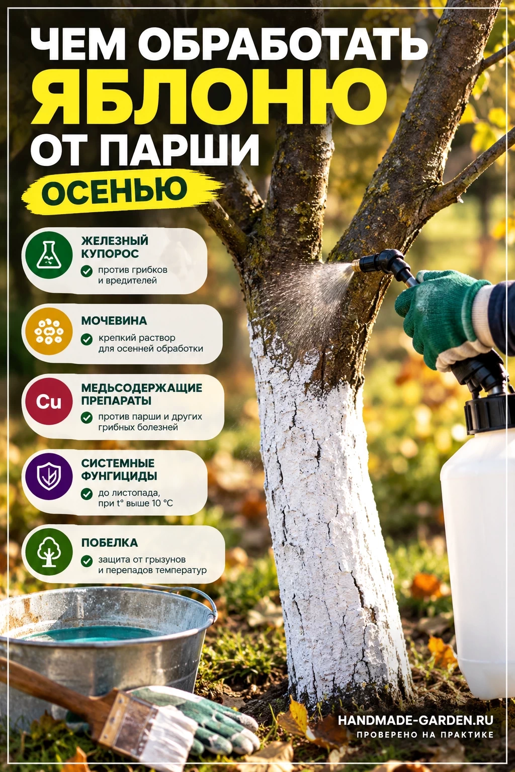 Обработка яблони от парши