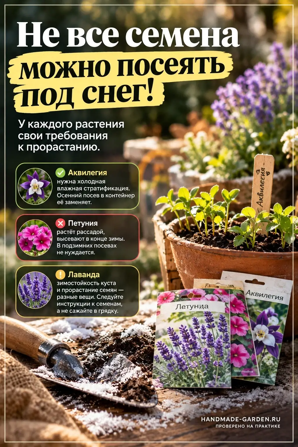 Что под зиму лучше не сеять