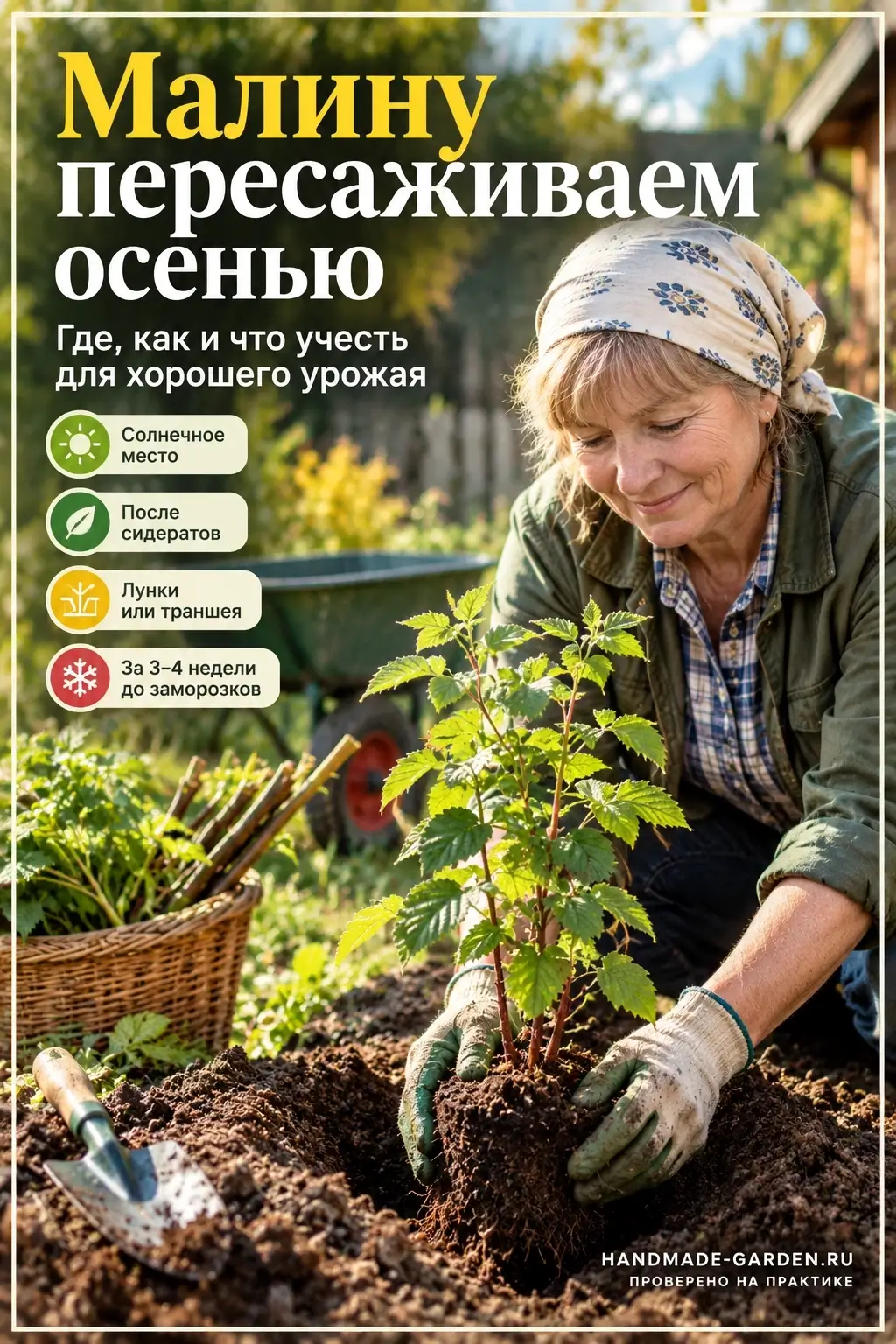 посадка малины осенью