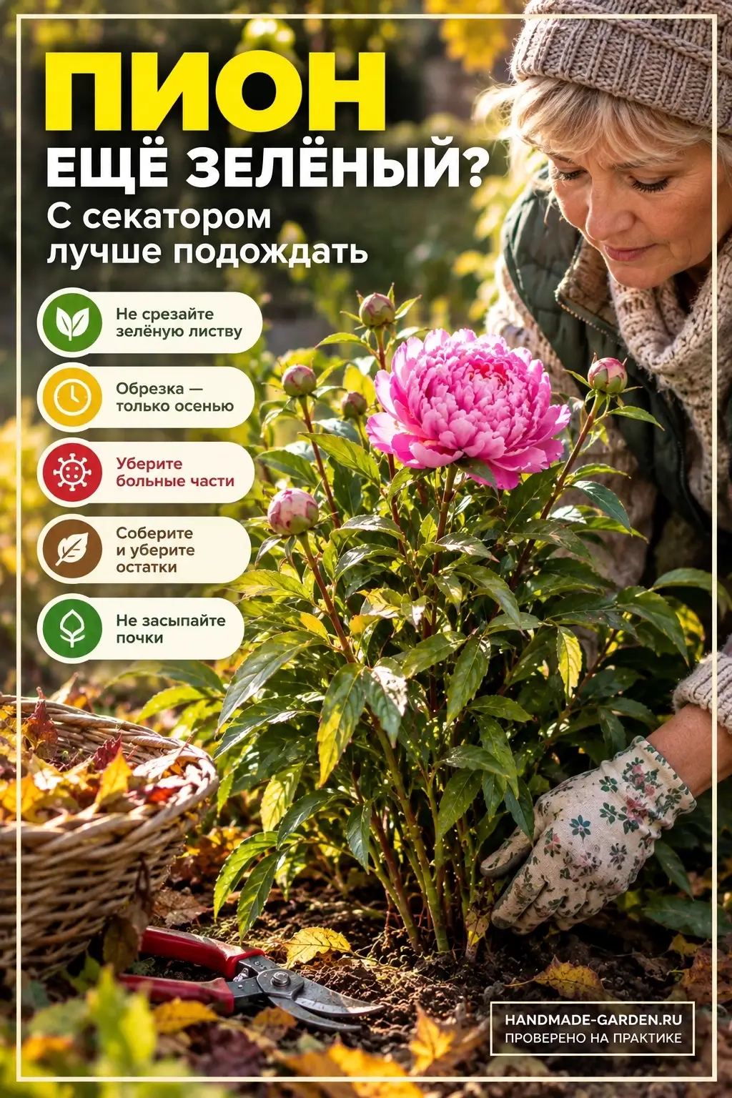 Пион ещё зелёный? С секатором лучше подождать