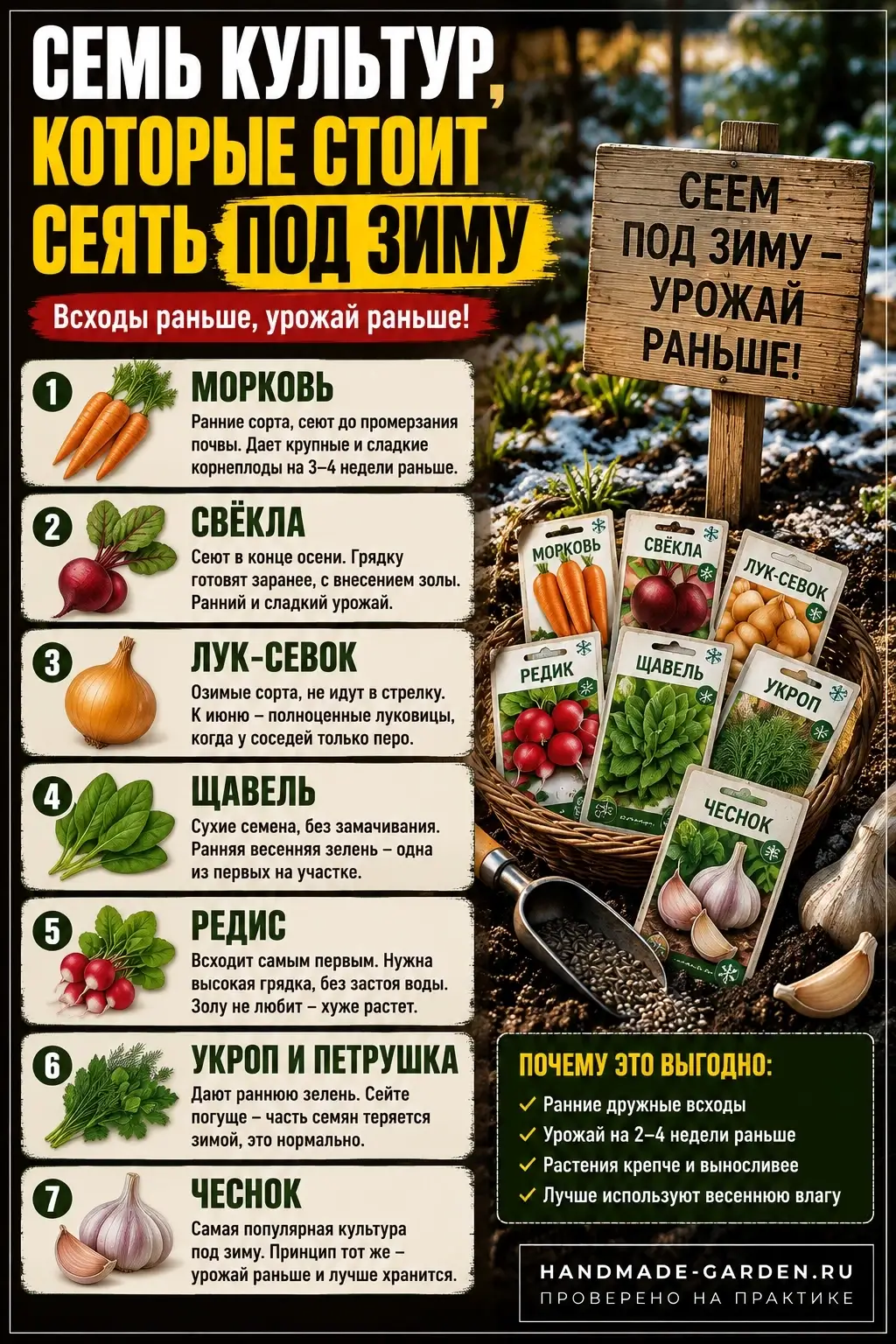 культуры которые стоит сеять под зиму