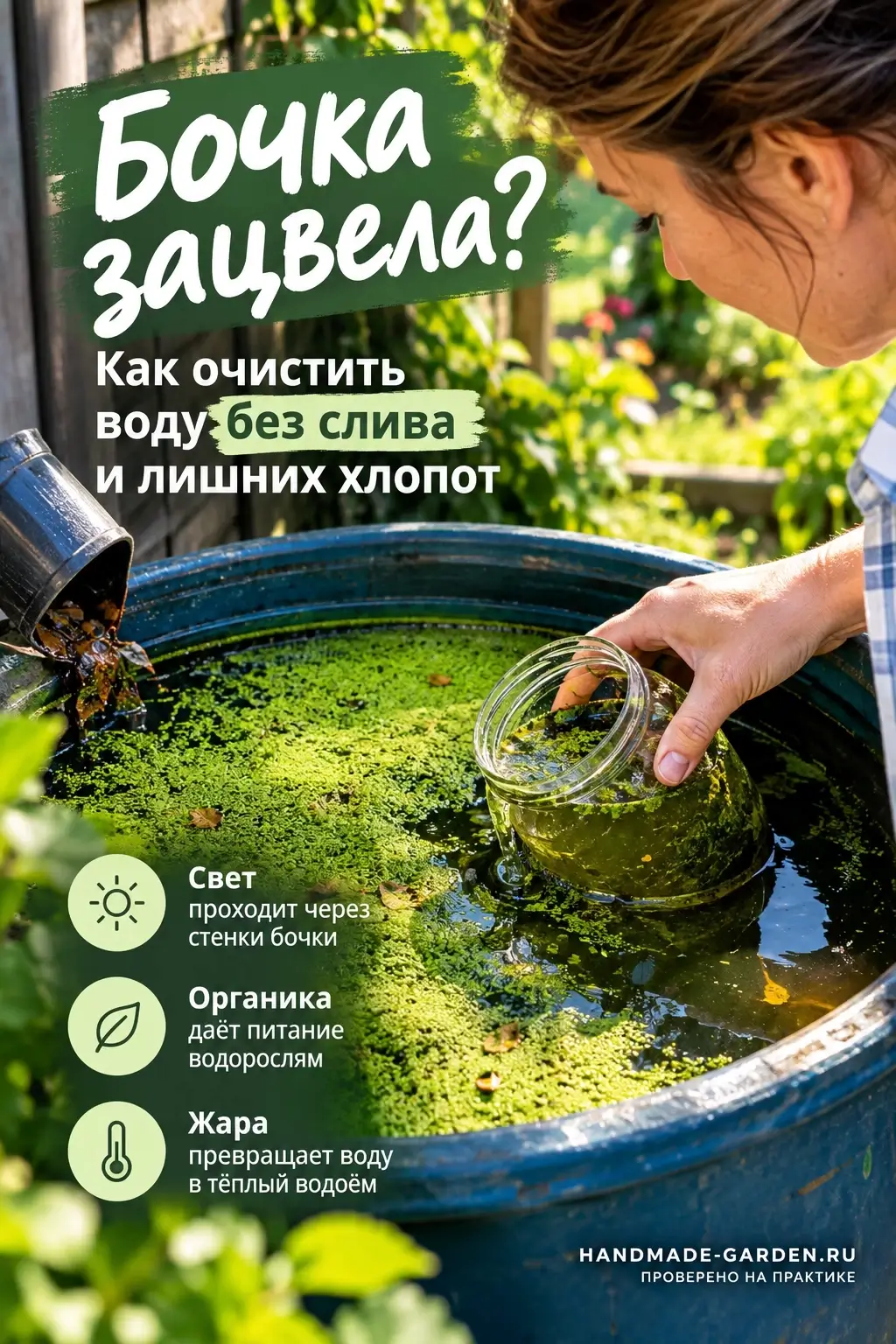 Бочка с дождевой водой зацвела
