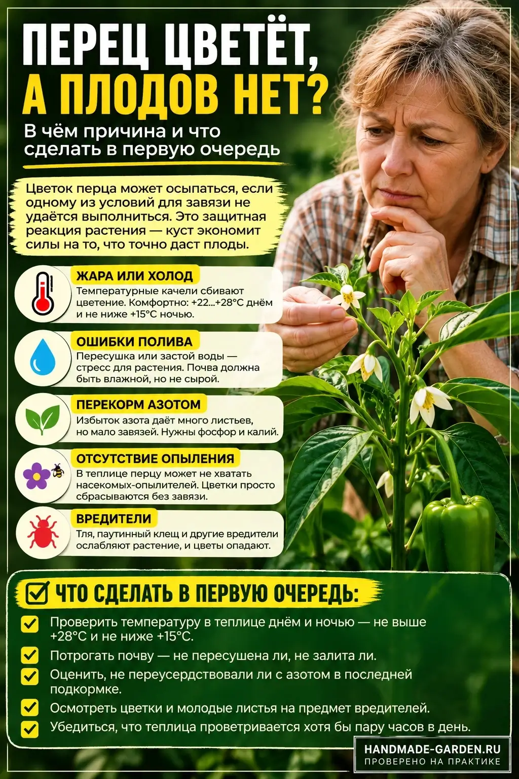 перец &laquo;роняет&raquo; цветы