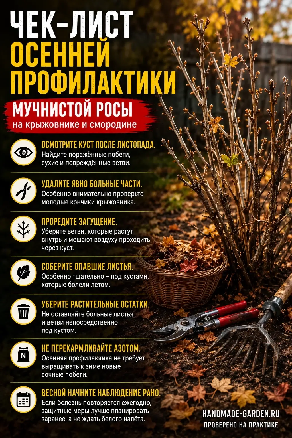 Осенняя профилактика мучнистой росы