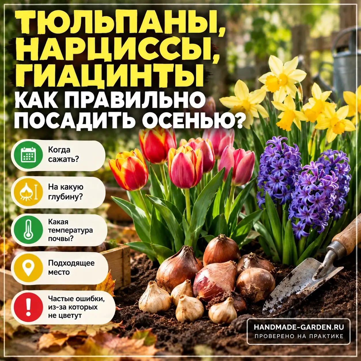 Нарциссы, тюльпаны и гиацинты: что посадить осенью для весеннего сада