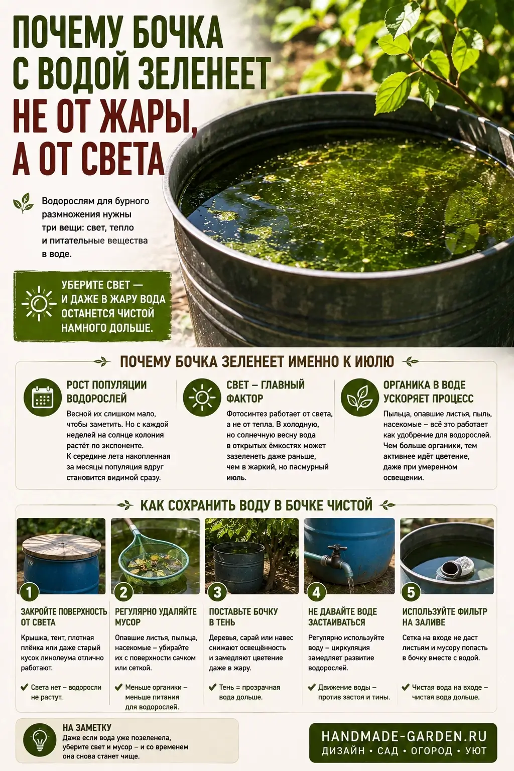 Бочка с водой цветёт