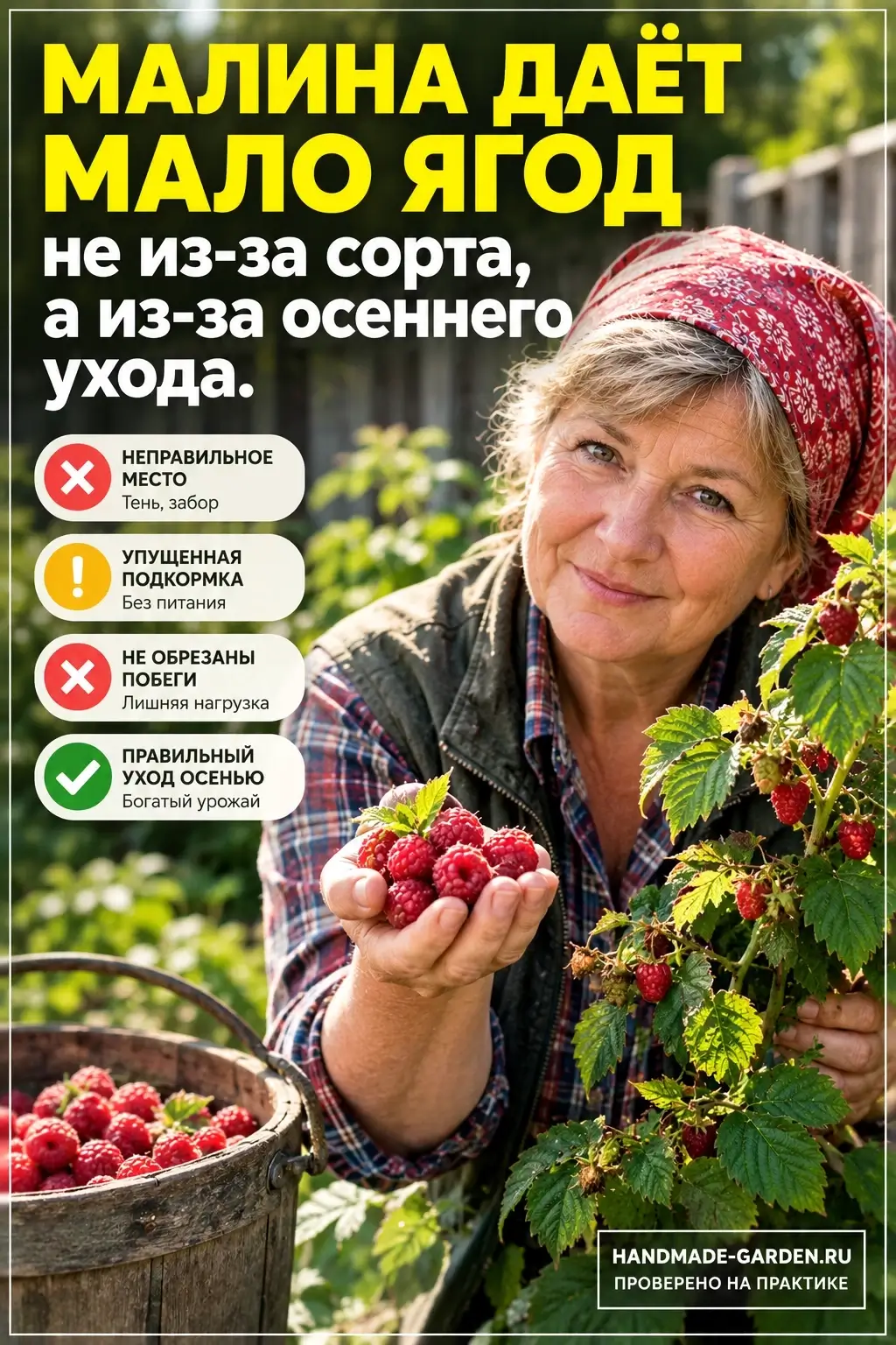 что успеть с малиной до морозов