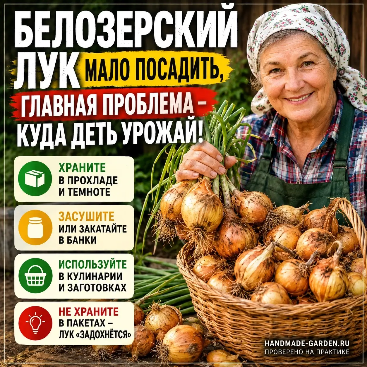 Белозерский лук мало посадить, главная проблема куда деть урожай!