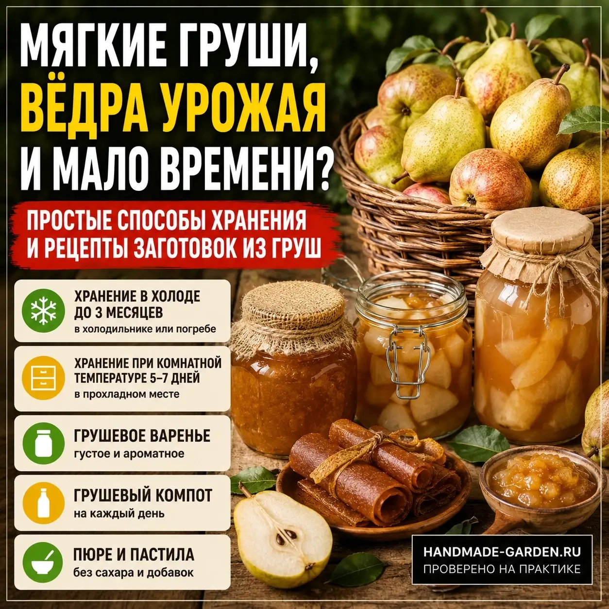 Мягкие груши, вёдра урожая и мало времени? Собрали простые способы хранения и рецепты заготовок из груш