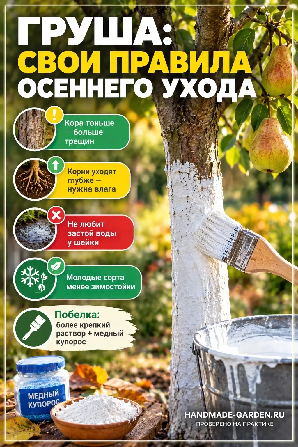 У груши свои правила ухода