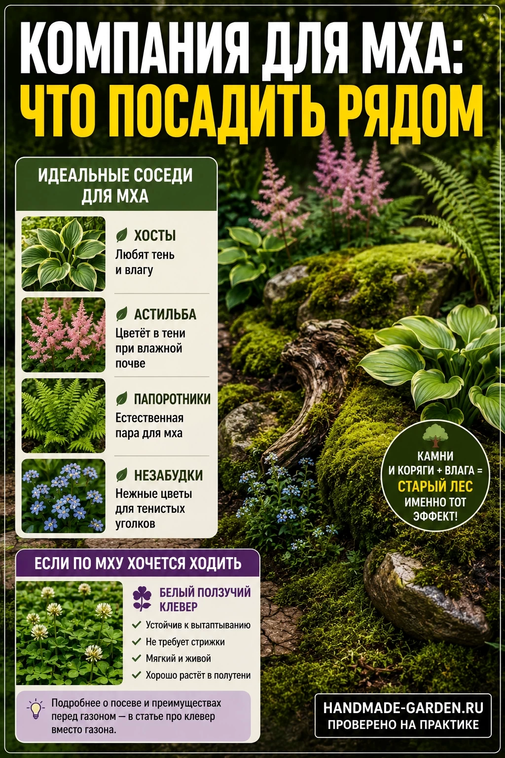 Партнеры для мха: что посадить рядом
