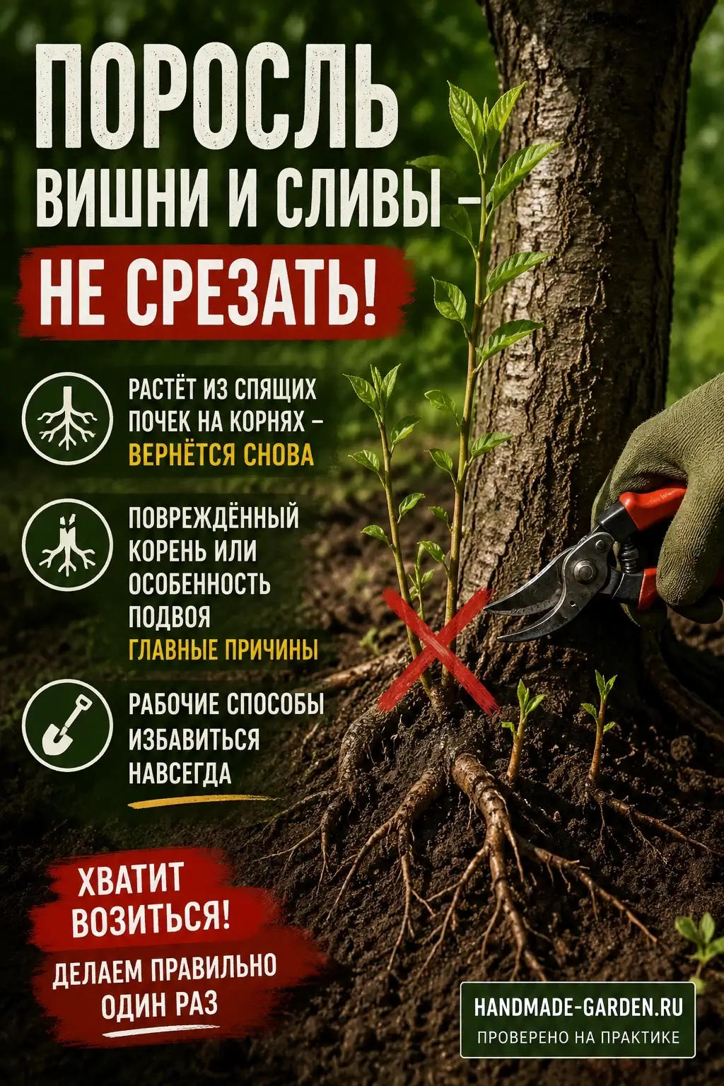 Способы избавиться от поросли вишни