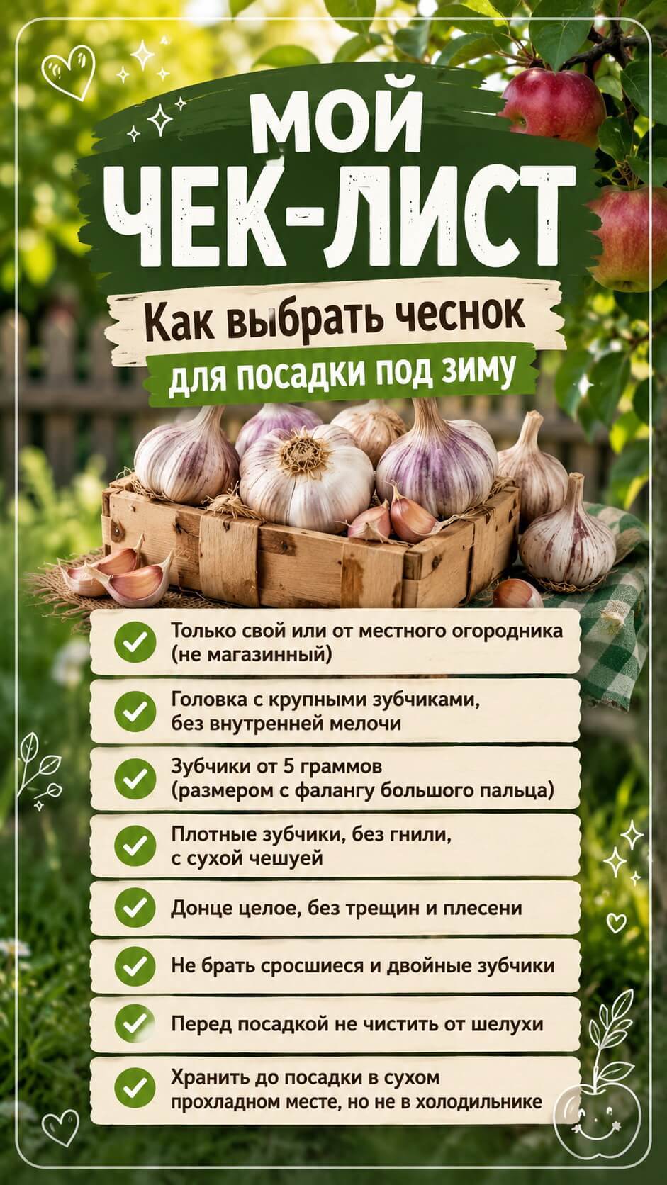 Как выбрать чеснок для посадки под зиму