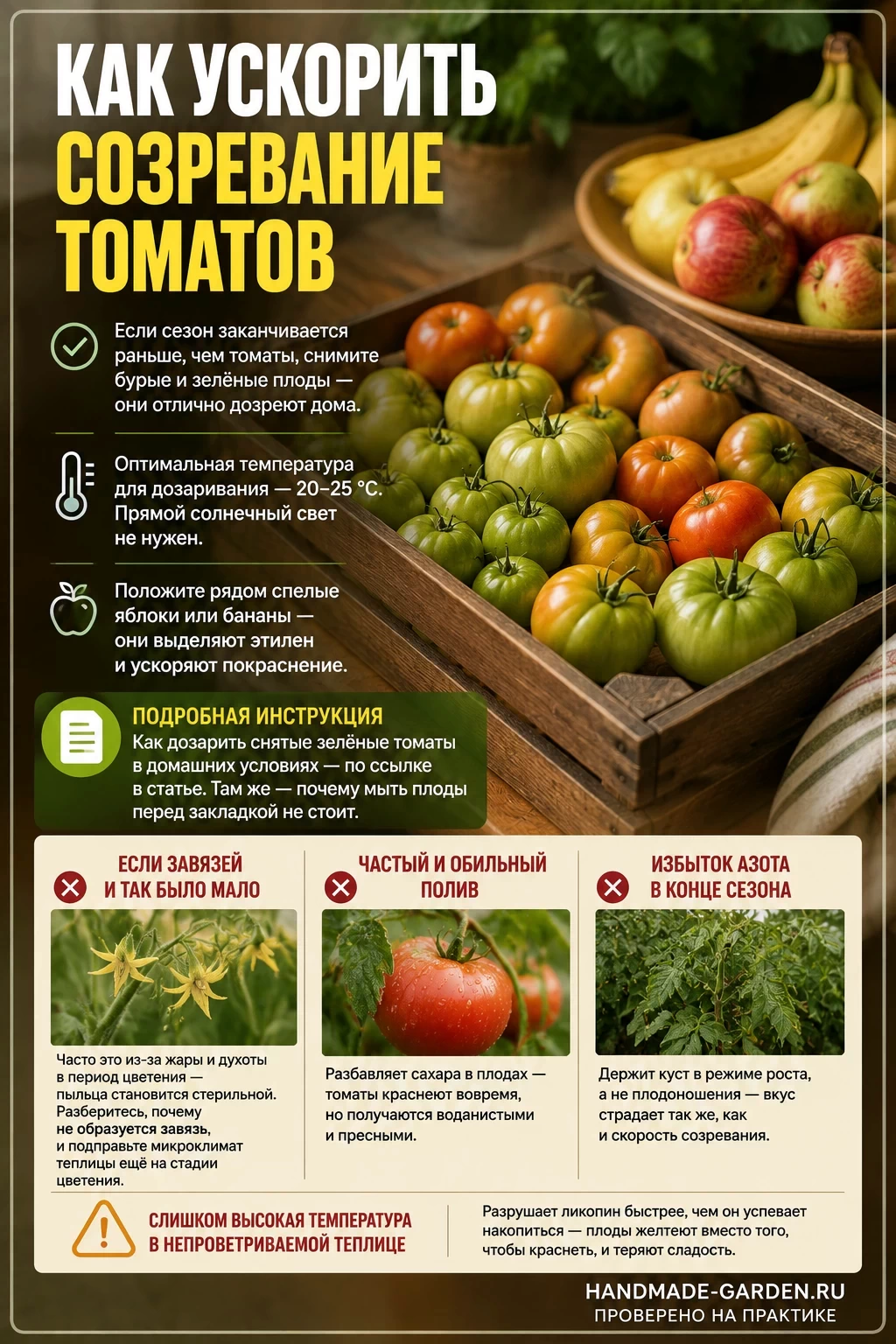 Ускорить дозревание томатов