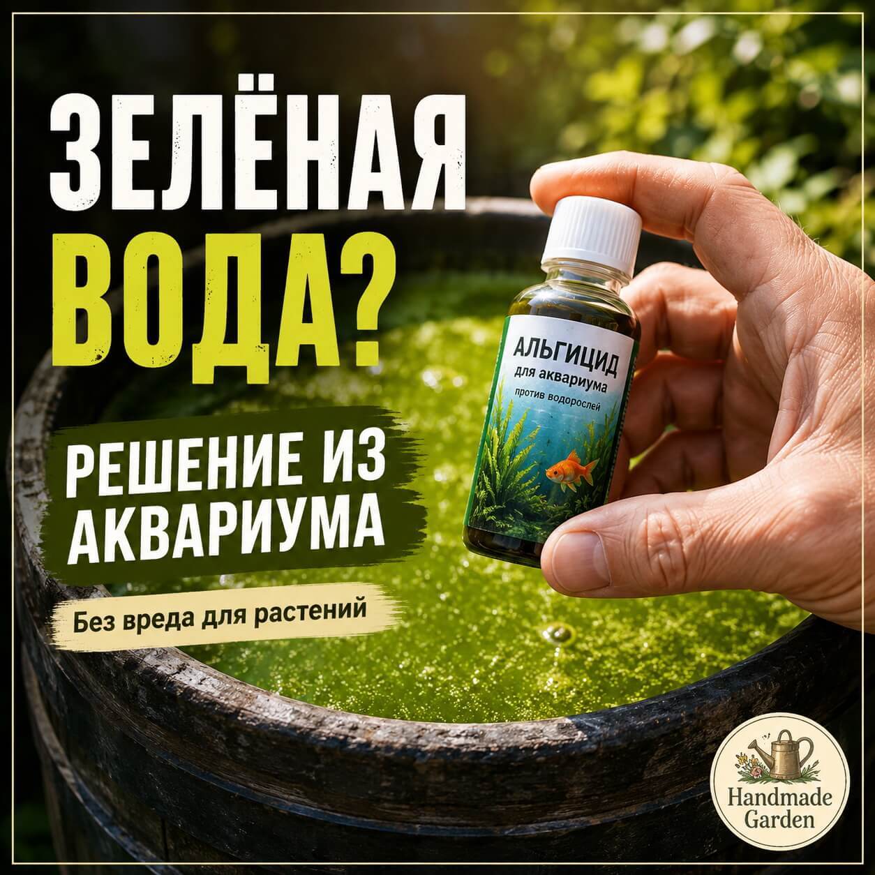 Зелёная вода в бочке