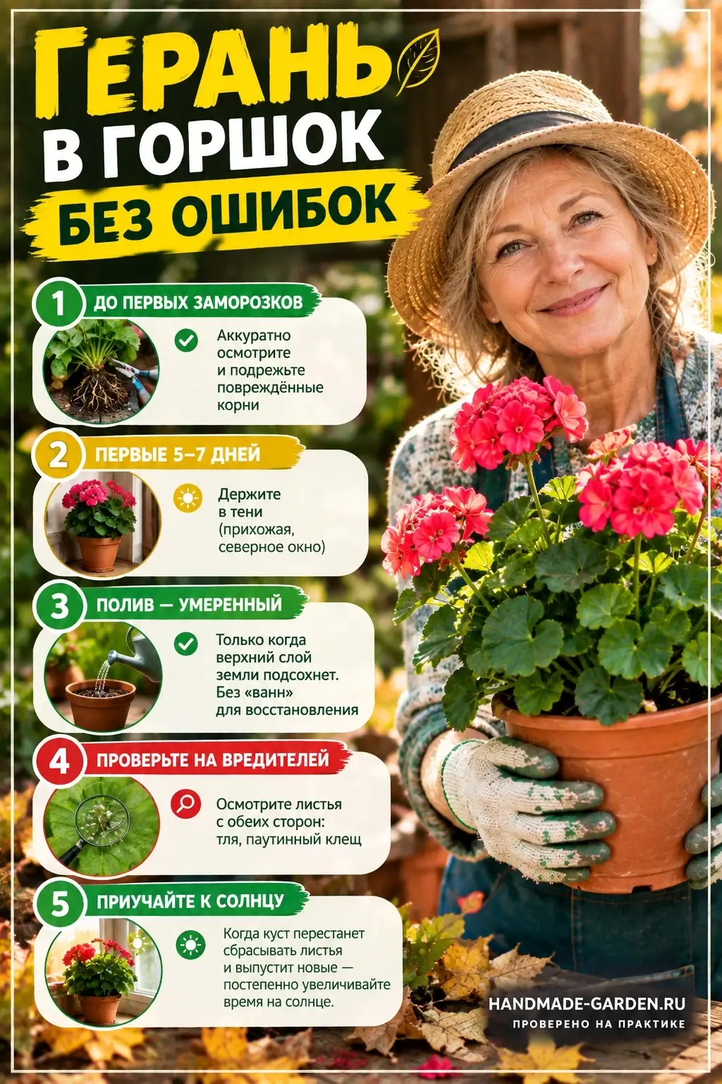 чек-лист перед переносом герани домой