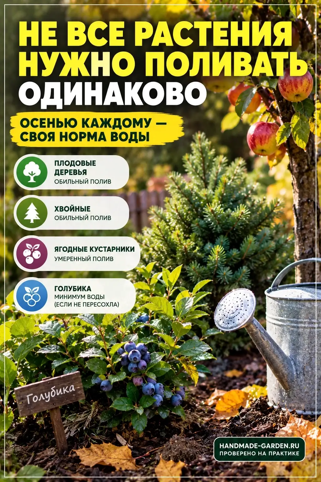 влагозарядковый, то есть основной осенний полив