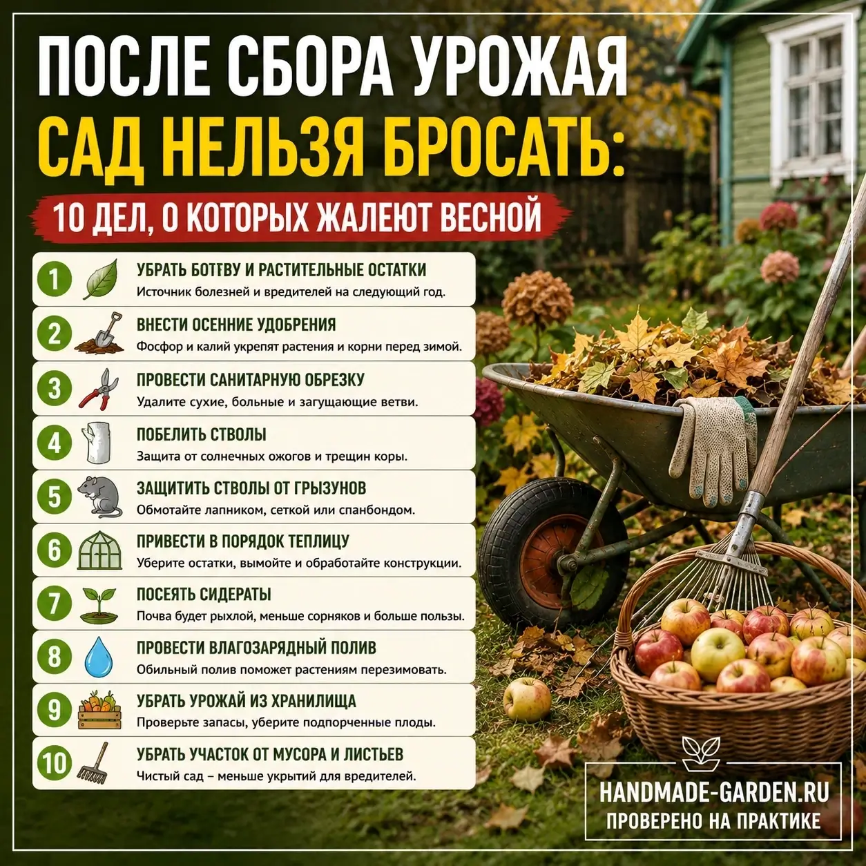 После сбора урожая сад нельзя бросать: 10 дел, о которых жалеют весной