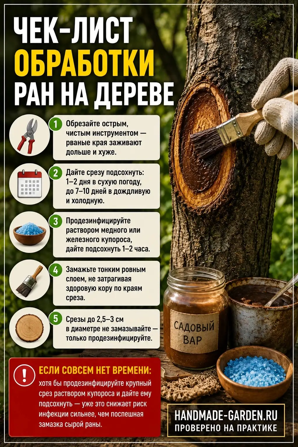 Чек-лист обработки ран на дереве