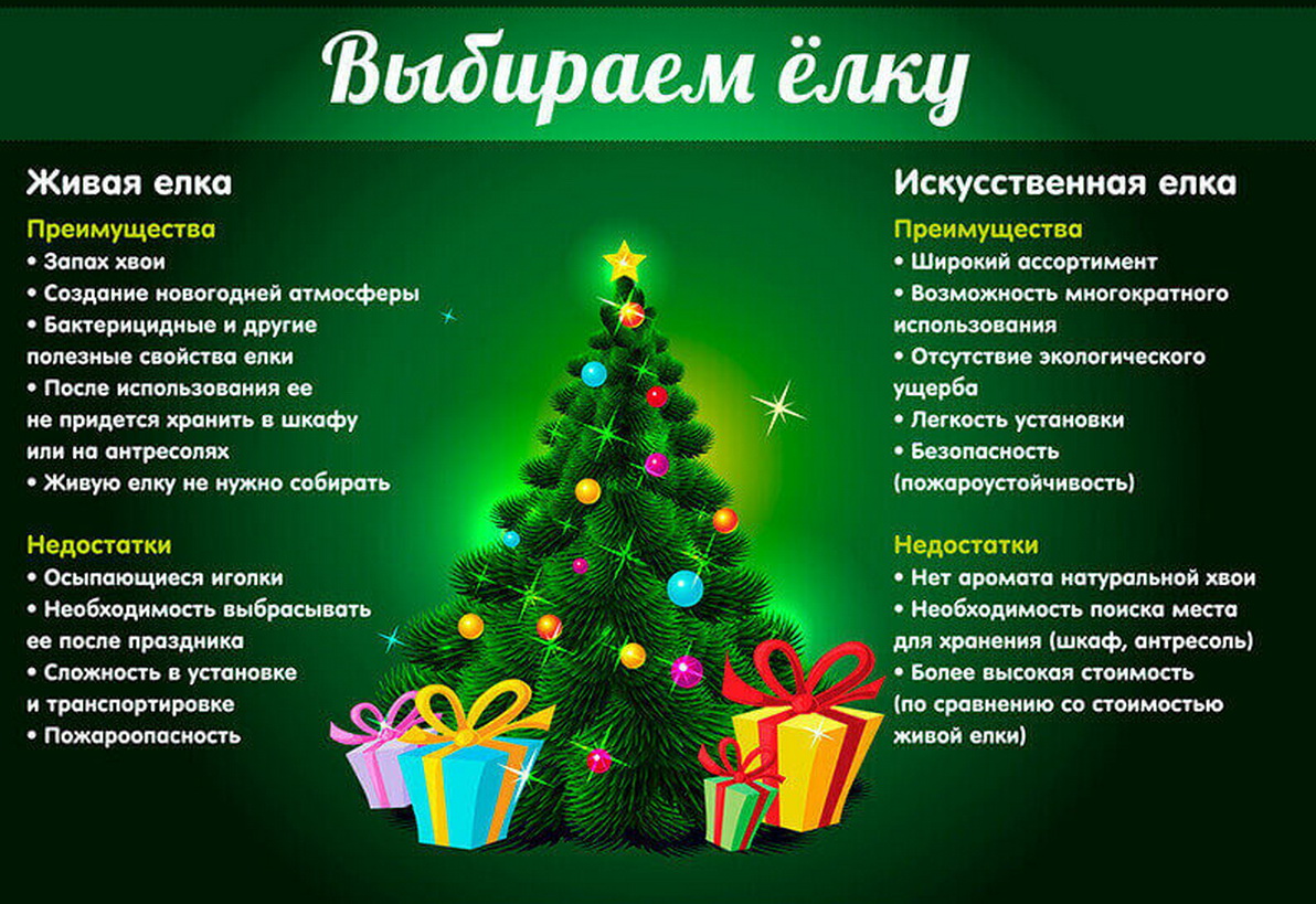 Выбор Новогодней елки&nbsp;
