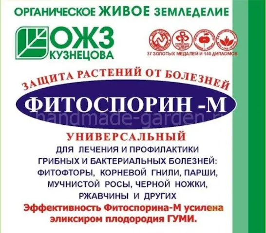 Сорта клубники устойчивые к серой гнили