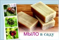 Применение хозяйственного мыла в саду Применение хозяйственного мыла в саду