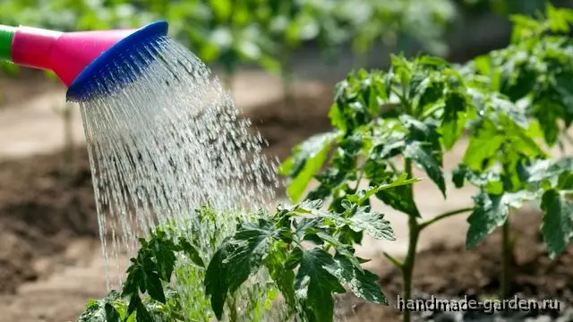 10 правил полива огородных культур 10 правил полива огородных культур