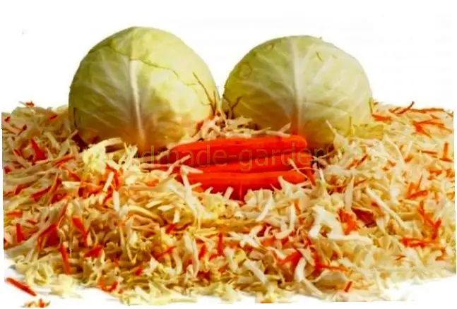 Как солить, чтобы капуста была хрустящей и вкусной Как солить, чтобы капуста была хрустящей и вкусной