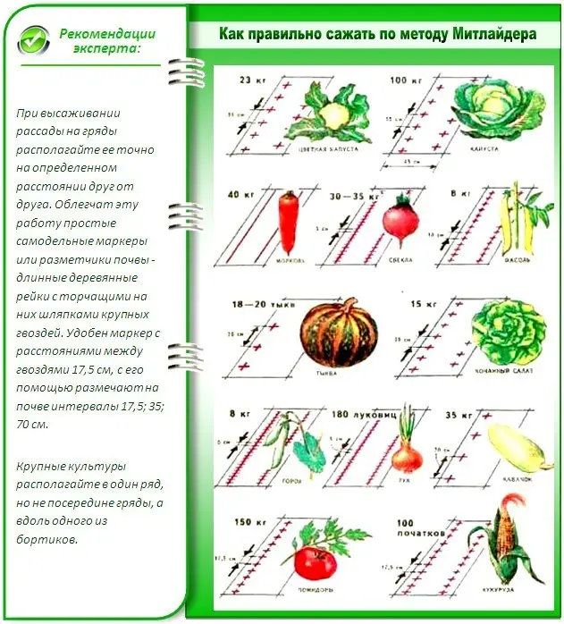 Планирование огорода - грядки, посадки, дизайн