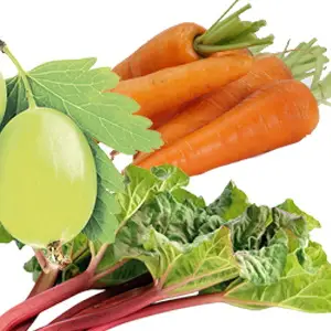Цветы и кустарники, которые растут сами