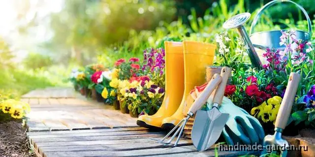 Лунный посевной календарь для огорода на 2021 год: таблица