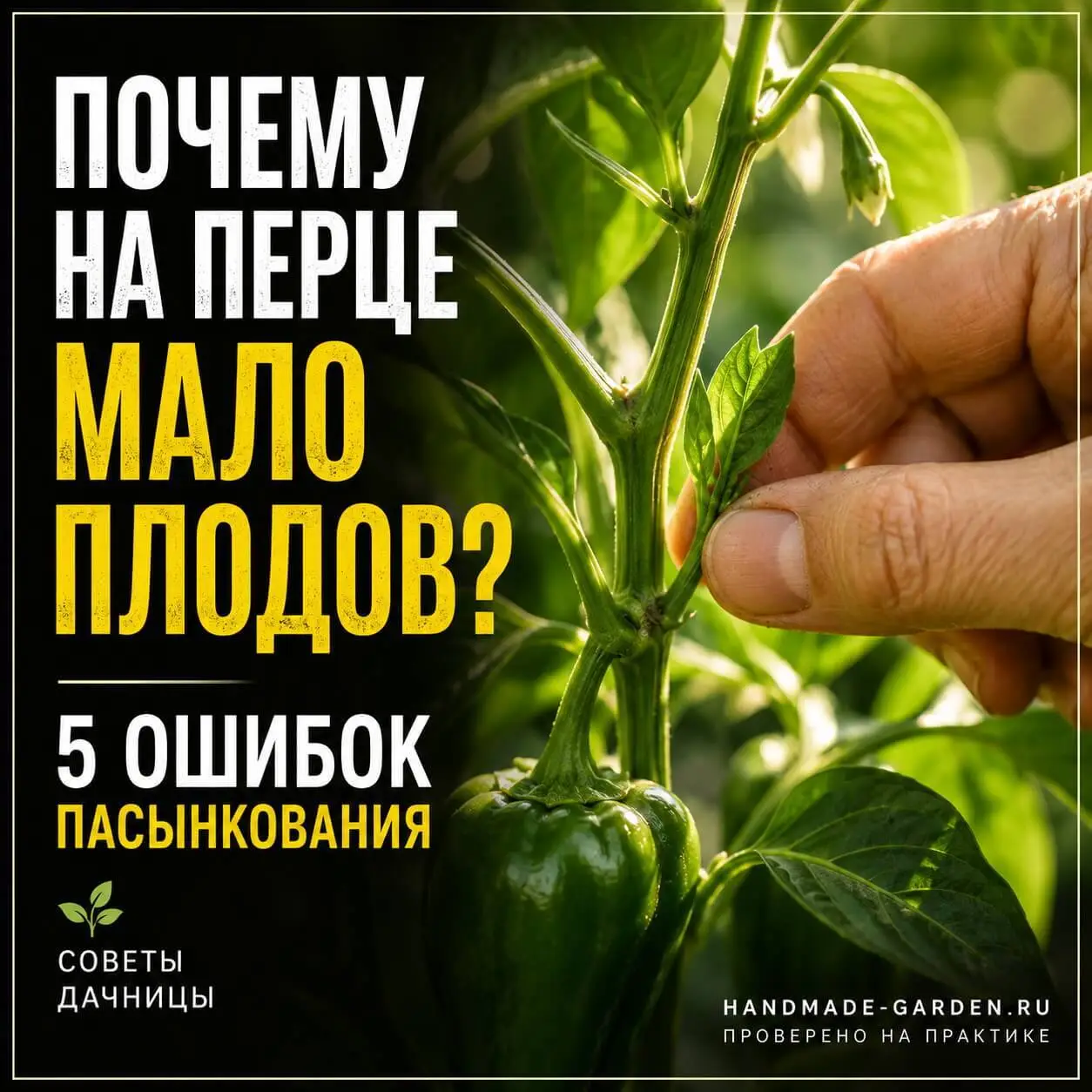 5 ошибок пасынкования перца и способы их исправить