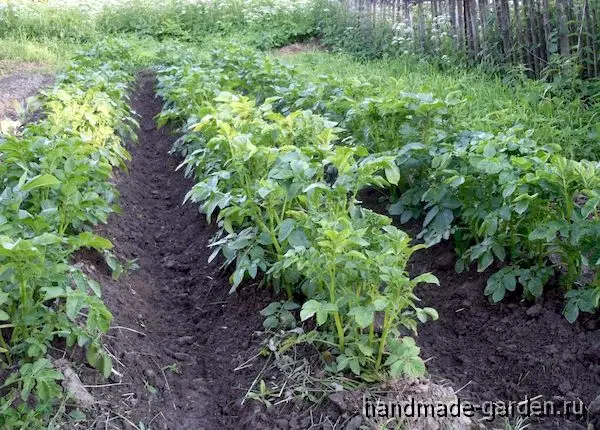 Посадка картофеля в короба