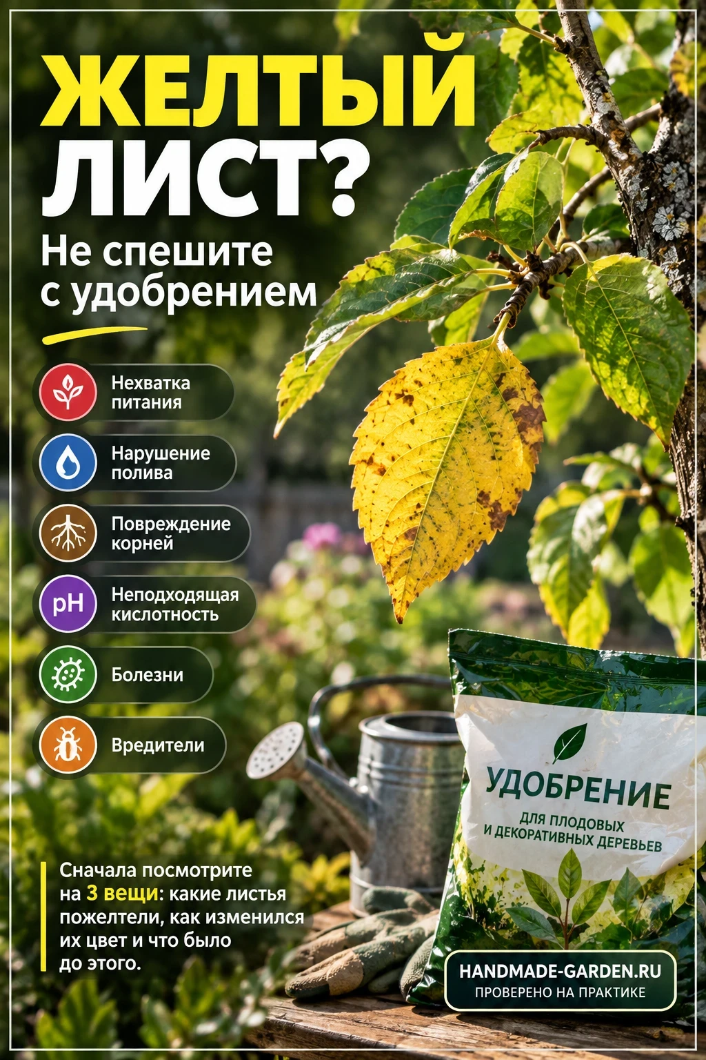 Желтый лист - не спешите с удобрениями