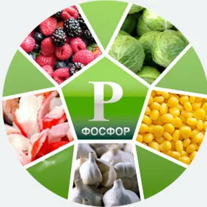 Важность фосфора для роста растений - секрет здоровья растений и вашего сада
